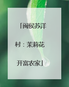 闽侯苏洋村：茉莉花开富农家