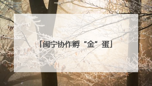 闽宁协作孵“金”蛋