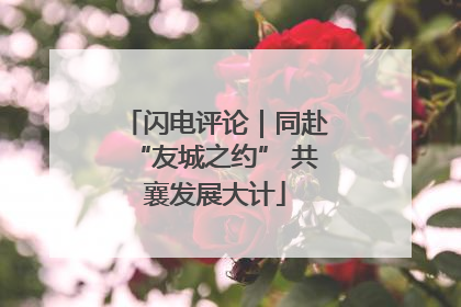 闪电评论｜同赴“友城之约” 共襄发展大计