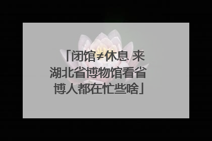 闭馆≠休息 来湖北省博物馆看省博人都在忙些啥