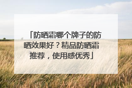 防晒霜哪个牌子的防晒效果好？精品防晒霜推荐，使用感优秀