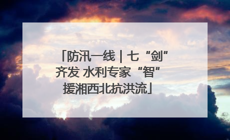 防汛一线｜七“剑”齐发 水利专家“智”援湘西北抗洪流