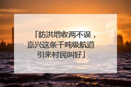 防洪增收两不误，嘉兴这条千吨级航道引来村民叫好