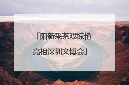 阳新采茶戏惊艳亮相深圳文博会