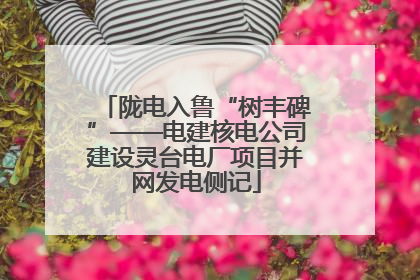 陇电入鲁“树丰碑”——电建核电公司建设灵台电厂项目并网发电侧记