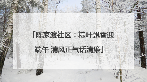 陈家渡社区：粽叶飘香迎端午 清风正气话清廉