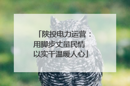 陕投电力运营：用脚步丈量民情 以实干温暖人心