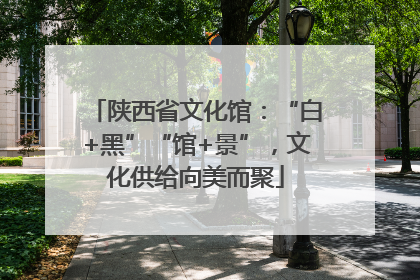 陕西省文化馆：“白+黑”“馆+景”，文化供给向美而聚