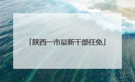 陕西一市最新干部任免