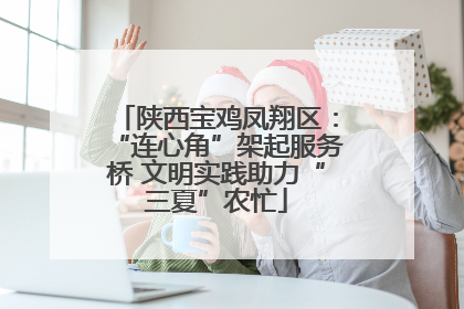 陕西宝鸡凤翔区：“连心角”架起服务桥 文明实践助力“三夏”农忙