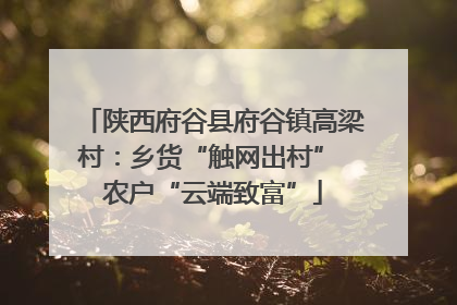 陕西府谷县府谷镇高梁村：乡货“触网出村” 农户“云端致富”