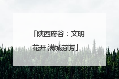 陕西府谷：文明花开 满城芬芳