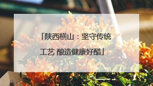 陕西横山：坚守传统工艺 酿造健康好醋