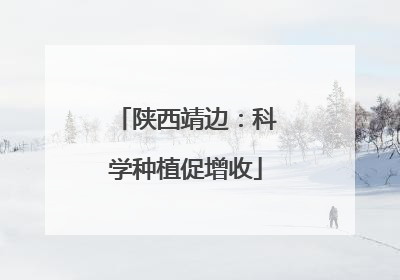 陕西靖边：科学种植促增收