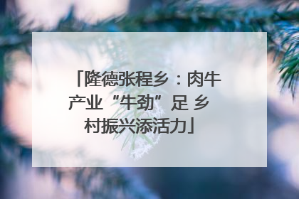 隆德张程乡：肉牛产业“牛劲”足 乡村振兴添活力