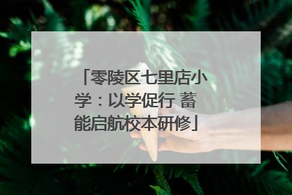 零陵区七里店小学：以学促行 蓄能启航校本研修
