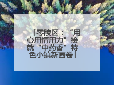 零陵区：“用心用情用力”绘就“中药香”特色小镇新画卷