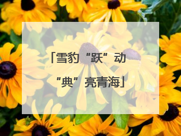 雪豹“跃”动 “典”亮青海