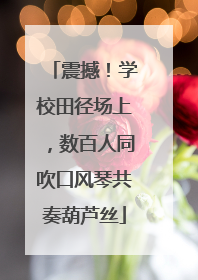 震撼！学校田径场上，数百人同吹口风琴共奏葫芦丝