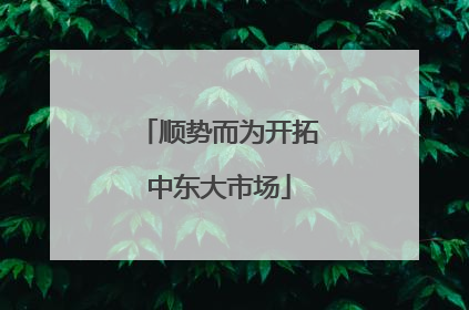 顺势而为开拓中东大市场