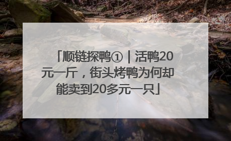 顺链探鸭①｜活鸭20元一斤，街头烤鸭为何却能卖到20多元一只