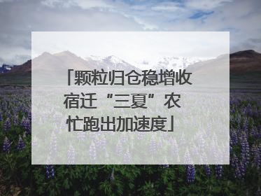 颗粒归仓稳增收 宿迁“三夏”农忙跑出加速度