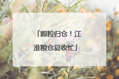 颗粒归仓！江淮粮仓夏收忙