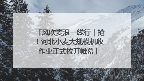 风吹麦浪一线行｜抢！河北小麦大规模机收作业正式拉开帷幕