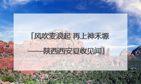 风吹麦浪起 再上神禾塬——陕西西安夏收见闻