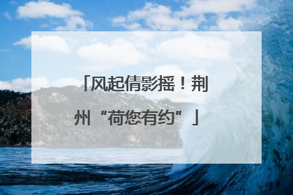 风起倩影摇！荆州“荷您有约”