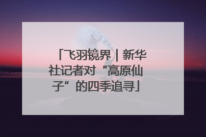 飞羽镜界｜新华社记者对“高原仙子”的四季追寻
