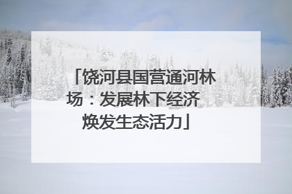 饶河县国营通河林场：发展林下经济 焕发生态活力
