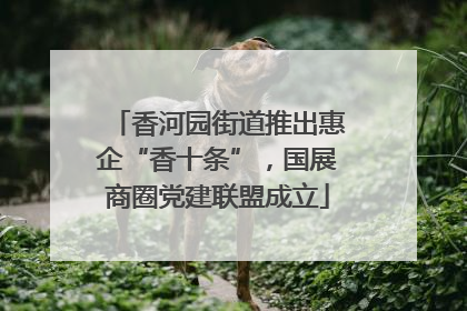 香河园街道推出惠企“香十条”，国展商圈党建联盟成立