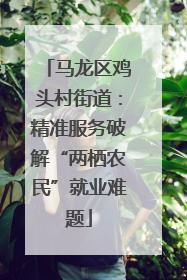 马龙区鸡头村街道：精准服务破解“两栖农民”就业难题