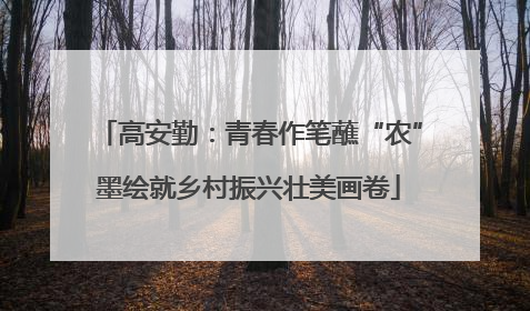 高安勤：青春作笔蘸“农”墨绘就乡村振兴壮美画卷