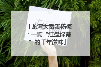 龙湾大岙溪杨梅：一颗“红盘绿蒂”的千年滋味