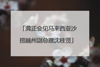 龚正会见马来西亚沙捞越州副总理沈桂贤