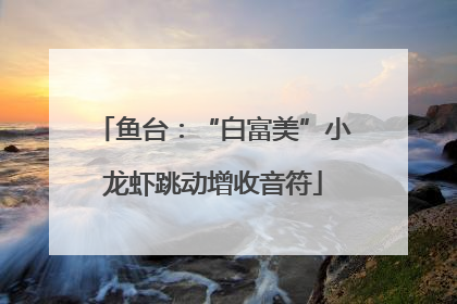 鱼台：“白富美”小龙虾跳动增收音符