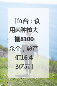 鱼台：食用菌种植大棚8100余个，总产值16.43亿元