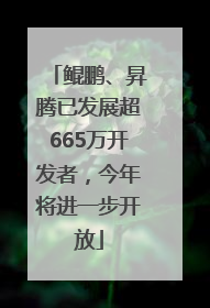 鲲鹏、昇腾已发展超665万开发者，今年将进一步开放