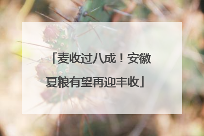 麦收过八成！安徽夏粮有望再迎丰收