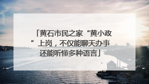 黄石市民之家“黄小政”上岗，不仅能聊天办事还能听懂多种语言