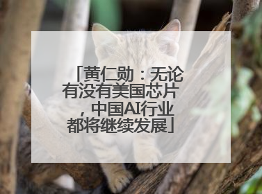 黄仁勋：无论有没有美国芯片，中国AI行业都将继续发展