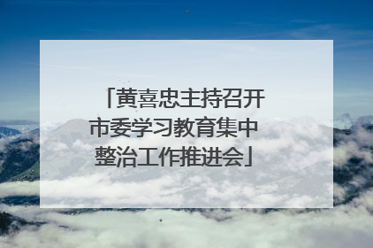 黄喜忠主持召开市委学习教育集中整治工作推进会