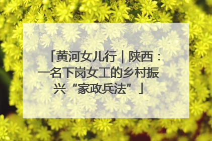 黄河女儿行｜陕西：一名下岗女工的乡村振兴“家政兵法”