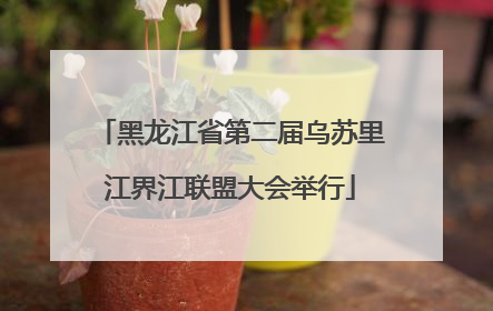 黑龙江省第二届乌苏里江界江联盟大会举行