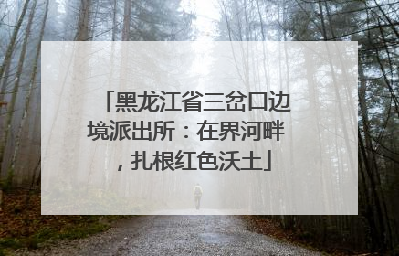 黑龙江省三岔口边境派出所：在界河畔，扎根红色沃土