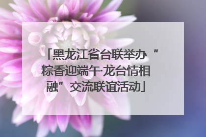 黑龙江省台联举办“粽香迎端午·龙台情相融”交流联谊活动