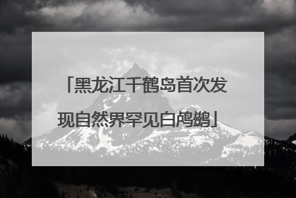 黑龙江千鹤岛首次发现自然界罕见白鸬鹚