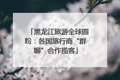 黑龙江旅游全球圈粉：各国旅行商“群聊”合作揽客
